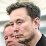 Tesla chief executive Elon Musk at the White House last week for a meeting between Donald Trump and South African President Cyril Ramaphosa.