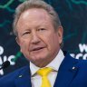 Fortescue sets iron ore record, Forrest talks up green future