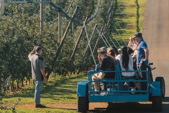 There are plenty of events and excursions for you to make a weekend of the Pinot Picnic.