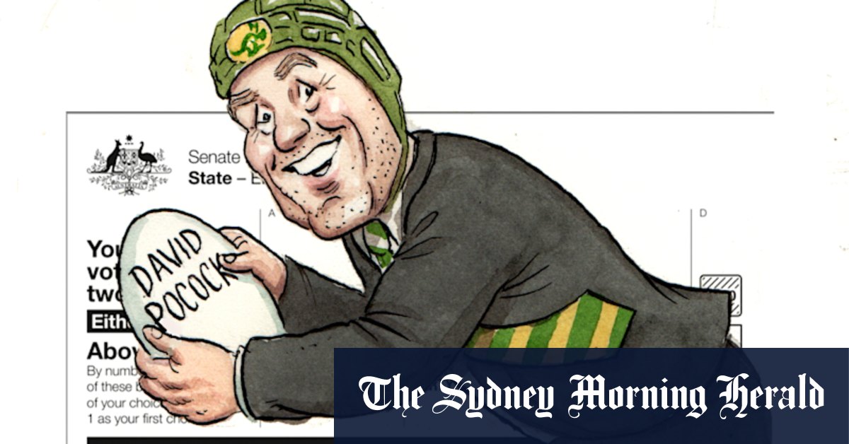 CBD Sydney: Wallaby star David Pocock scores above the line in tilt for federal Senate - Vimarsana News