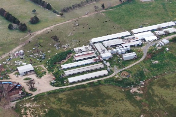 Wally Perenc is now running a cattle farm on the same property as his now-defunct piggery in the Southern Tablelands.