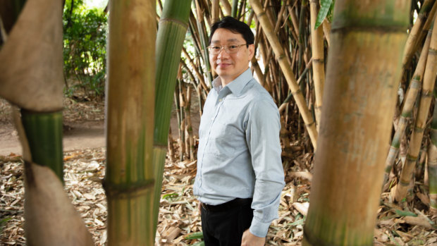 Professor Ziqi Sun’s “eureka” moment came while walking through the Botanic Gardens in Brisbane.