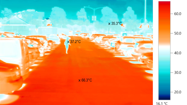 Thermal image of Queen Victoria Market carpark taken on a 36.7 degree day in January 2017. The temperature below a tree was 35.3 compared to the surface of the carpark, which was 66.3 degrees.