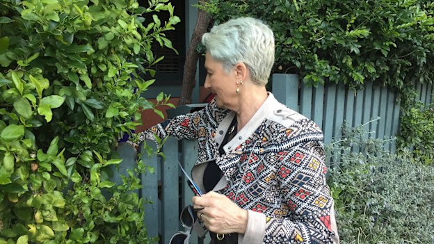 Kerryn Phelps doorknocking in Woollahra.