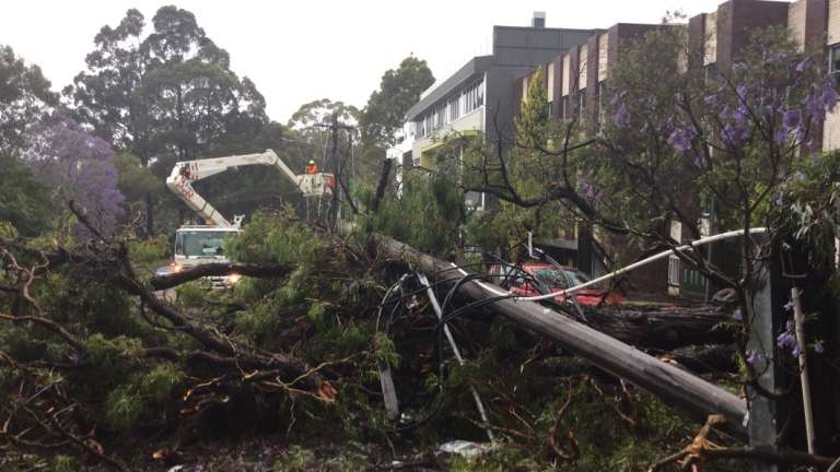 Storm damage across Sydney.