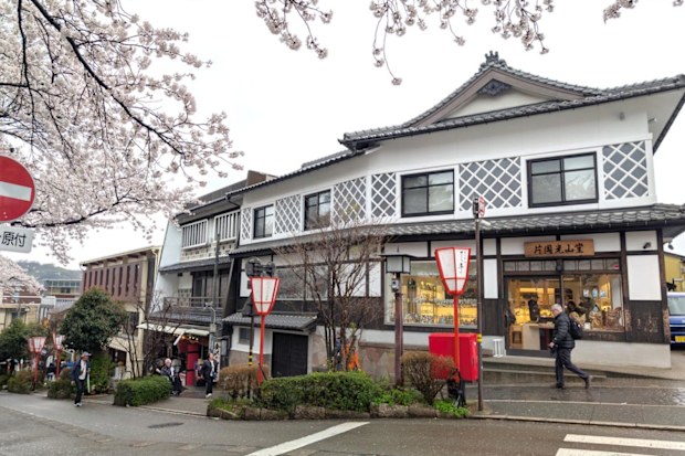 A street lined with decorative storefronts and blossoming cherry trees in Kenrokumachi. Kanazawa.