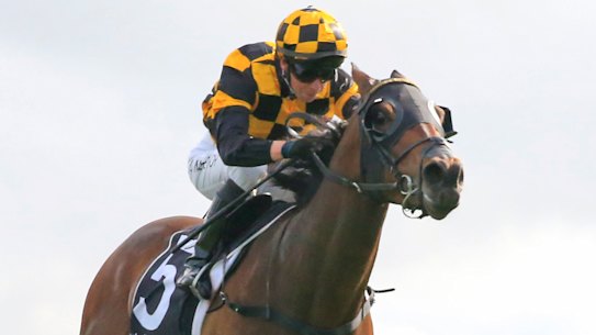 Kerrin McEvoy had a perfect ride aboard Probabeel (right) in the Epsom yesterday.