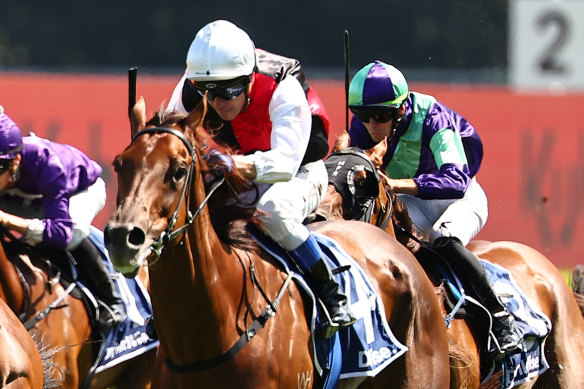 Grebeni returns for a winter preparation with eyes for the Big Dance.