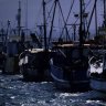 Inquest to explore Queensland trawler deaths