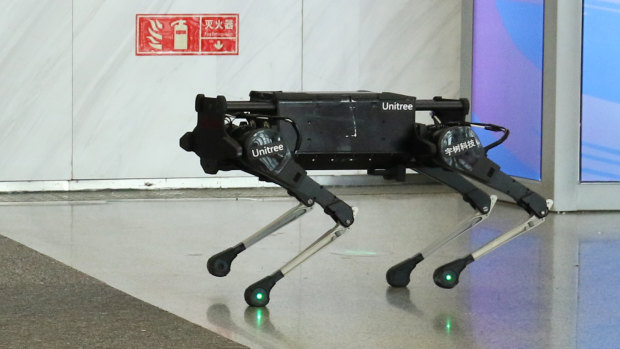Laikago, a bionic dog robot developed by Hangzhou based Unitree reminds people of Boston Dynamics models.