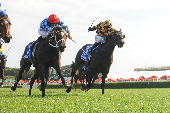 The rematch between Funstar and Probabeel in the Vinery Stud Stakes will be a highlight of Saturday's Rosehill card.