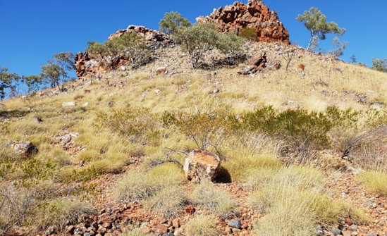 King River Resources will soon begin drilling its two priority buried Kuiper geophysical targets, which could represent iron oxide copper gold deposits (IOCG) in its suite of mineral licences near the historic NT mining centre of Tennant Creek. Tennant Creek is well-known for the IOCG style. 

