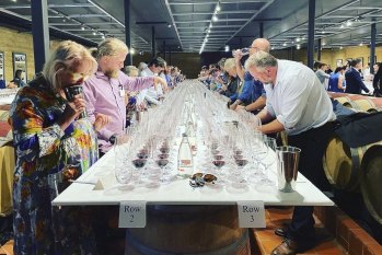 Twin tastings reveal WA’s great cabernets (and where to find them this summer)