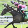 Flying high: Only way is up for Smith’s filly at Wyong