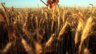 Graincorp was among a number of companies this week to warn on profit.