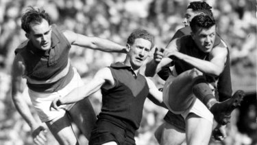 From the 1954 grand final: Bulldogs legend Ted Whitten clears the ball as Melbourneâ€™s Stuart Spencer (centre) and Geoff McGivern (partially hidden) were unable to stop him. 