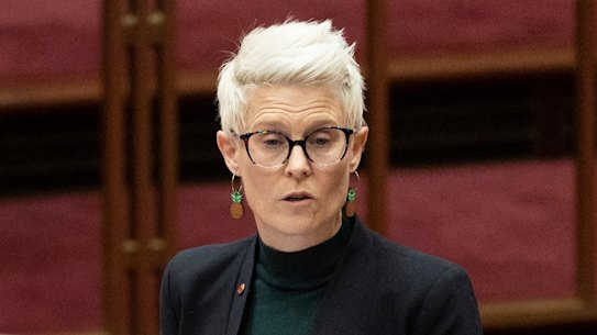 Penny Allman-Payne said the fund lacked “clear guardrails that dictate what the fund can be used for”.