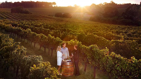 Cabernet in Margaret River has again dominated Halliday's top wines of the variety in 2019.