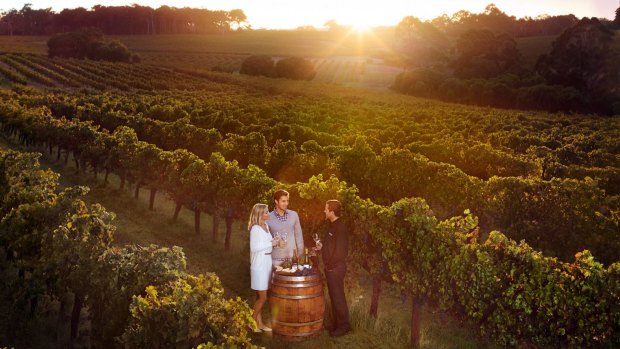 Cabernet in Margaret River has again dominated Halliday's top wines of the variety in 2019.