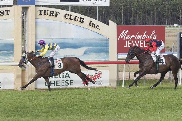 Punters can enjoy an eight-race card at Sapphire Coast on Sunday.
