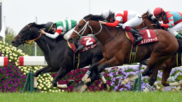 Kluger (inside) beats Danon Shark in the 2016 group 2 Yomiuri Milers Cup. On Saturday the seven-year-old will take on the might of Winx.