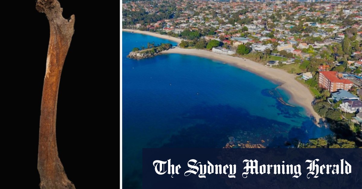 Balmoral Beach dingo fossil discovery reveals origins of Australia’s