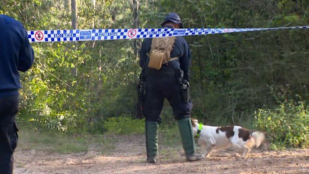 Police sniffer dogs were brought into the search. 
