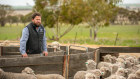 Corrigin stud merino breeder Steven Bolt says the live export industry has gone to great lengths to clean up its act.
