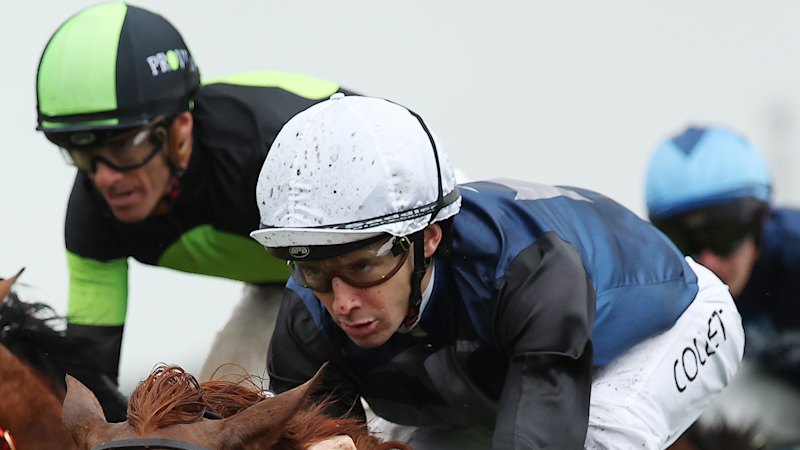 Tips and race-by-race preview for Kembla Grange on Wednesday