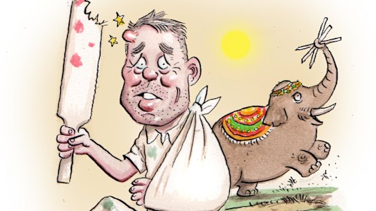 Bruised and batted ... David Warner