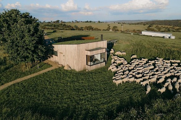 Wilga Station is both a luxury getaway and a working sheep farm.