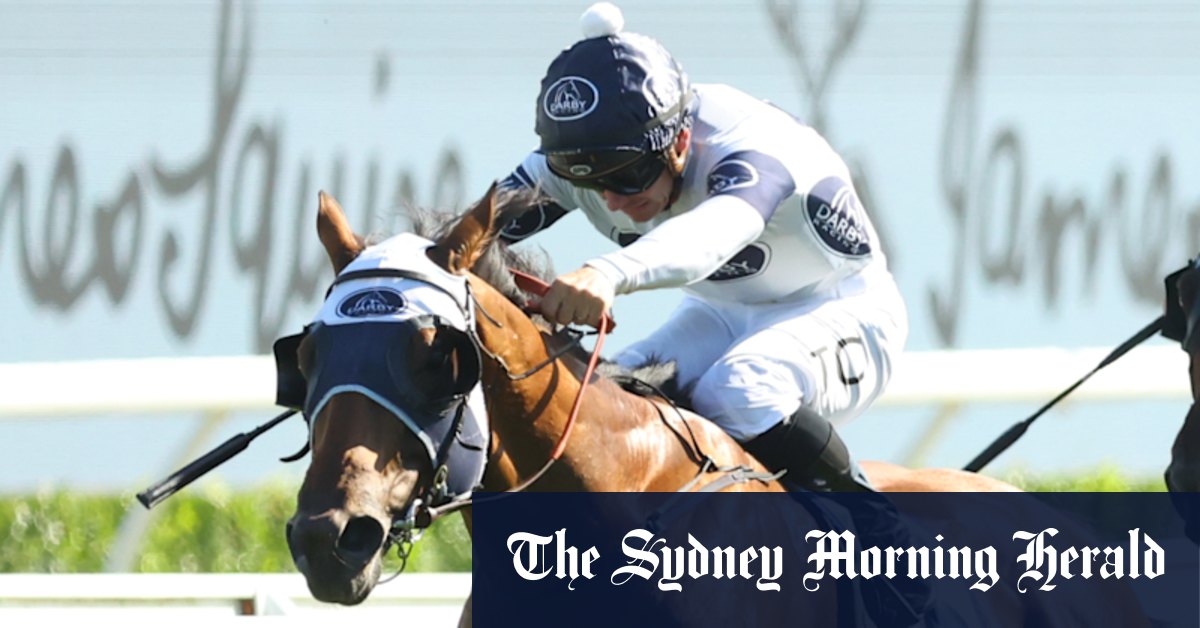 Robusto: From Online Auction to Racing Star – Darby Racing's Smart Investment Pays Off