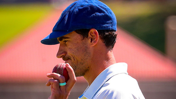 Mitchell Starc returned to form in stunning fashion last week.