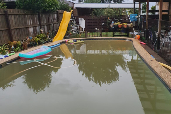 A grimy backyard swimming pool.