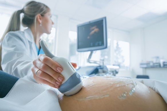 A new report has analysed pregnancy loss in Australia.