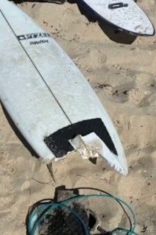 Mel Ismail’s surfboard after the shark attack at Geraldton