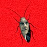 Independent NSW MP Mark Latham has crawled around public life for decades.