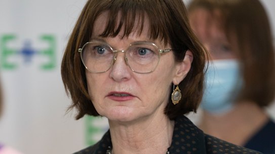 Health Minister Mary-Anne Thomas addresses the media on Sunday.