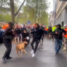 Pandemic protest dog kicker cops $2000 fine but escapes conviction