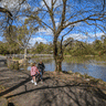 Ringwood GIF
