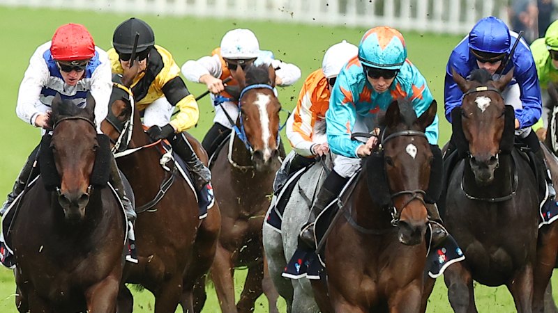Race-by-race preview and tips for Wagga on Friday