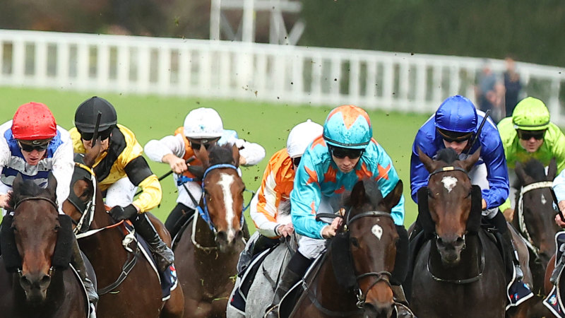 Race-by-race preview and tips for Randwick on Saturday