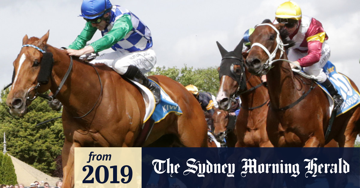 Preview and race-by-race tips for Wagga on Monday