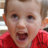 Witness heard scream from bushland after William Tyrrell's disappearance, inquest told