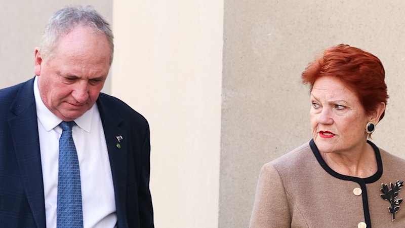 One Nation proposes allowing withdrawals from superannuation, sparking debate
