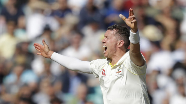 Peter Siddle hopes his Test career will continue this summer.