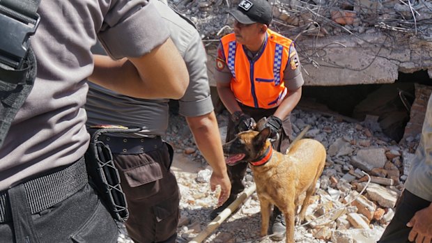 A rescue dog and his handler work at the side of the Karang Pangsor mosque in North Lombok.