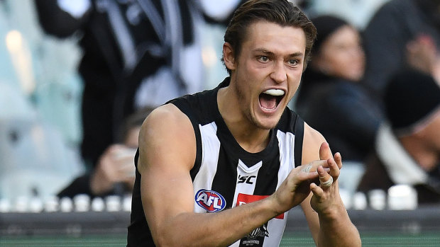 Darcy Moore will be fit to play against Richmond on Saturday. 