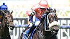 Only once have Racing Victoria stewards relegated a horse whose jockey had broken the whip rules. It occured in a dead-heat in December.