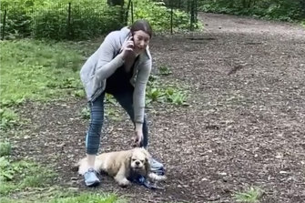 Amy Cooper, the white woman who called police on black birdwatcher Christian Cooper in the park, is suing her former employer for firing her over the incident. 
